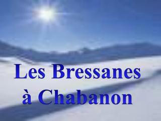 Appartements les Bressanes - Selonnet - 0