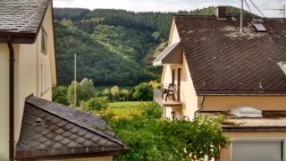 Weingut Sauer-Kettermann - Enkirch - 4
