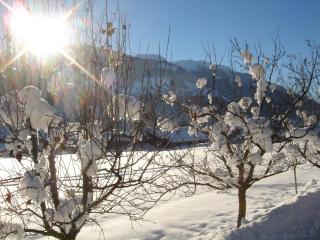 Landgasthof Lenzer - 2