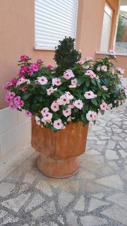 Apartman Jukic - Marina - 3