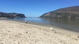 One on Bollard - Knysna - 8