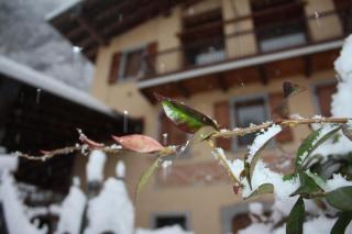 Il Giardino degli Elfi - Forno D'ono - 3