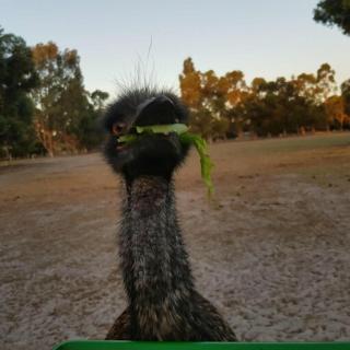 Nutcrackers Lodge - 1