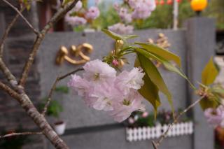 Habitat Heart B&B - 5