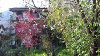 Il Giardino dei Merli - 4