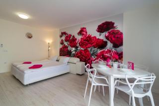 Sea Star Kabakum Apartments - Golden Sands - 0