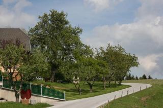 Bauernhof Hoenigshof - Fischbach - 1