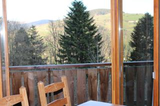 Chalet Les Bouleaux, la montagne des lamas - La Bresse - 6