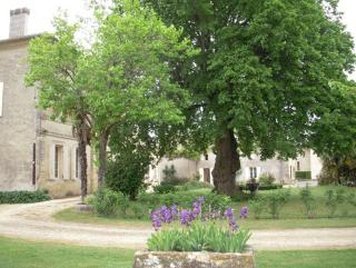 La Maison des Aurélines - Puisseguin - 8