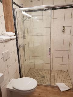 Hotel Medaillon - Magdeburgo - 1