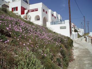 Lefkanthemo - Astypalaia - 9