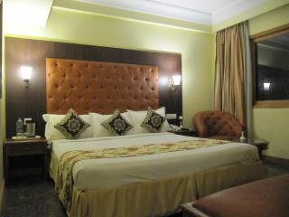 Ritz Plaza - Amritsar - 1
