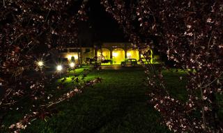 Agriturismo Tenuta Casteldardo - 9
