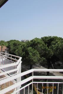 Hotel Toschi - Lido di Classe - 3