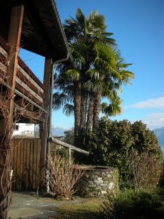 Ferienparadies Alla Vite in Brissago - Brissago - 9