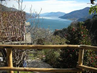 Ferienparadies Alla Vite in Brissago - Brissago - 1