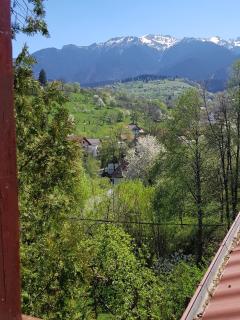Pension Bran Ioana& SPA - Bran - 3