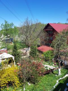 Pension Bran Ioana& SPA - Bran - 4