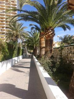 Apartamento PuigVal - 4
