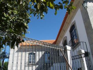 Quinta da Casa Grande Pinheiro - Santa Marinha do Zêzere - 6