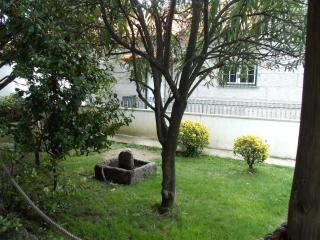 Quinta da Casa Grande Pinheiro - Santa Marinha do Zêzere - 5