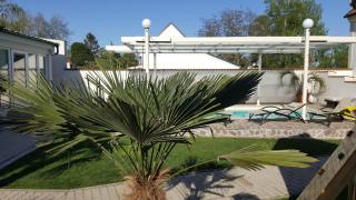 Ferienhaus Apetlon - Apetlon - 5