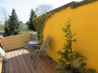 Ferienwohnung Sommer - Friedrichsbrunn - 1