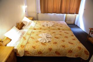 Family Hotel Bisser - Bansko - 7
