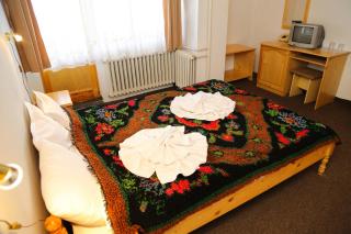 Family Hotel Bisser - Bansko - 3