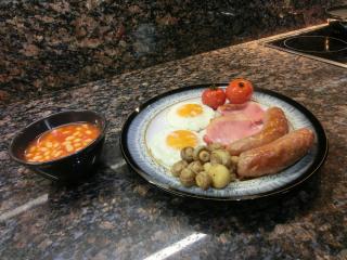 The Hollies on the Wall - Gilsland - 5