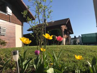 Villa à deux pas de Genève - 7