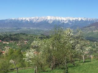 Casa de la Bran - Bran - 9