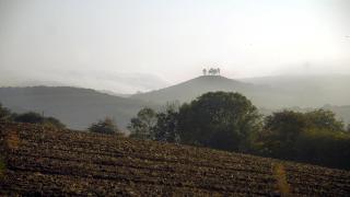 Colly Farm - Bridport - 6