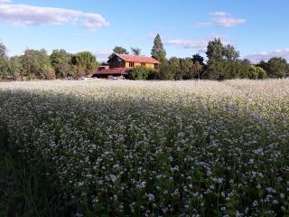 Berdale - Lagraulet-du-Gers - 8