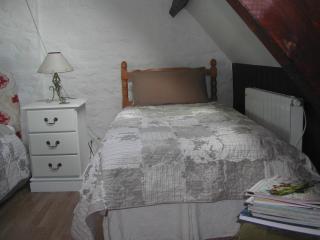 L'Auvraire B&B - Coulouvray-Boisbenâtre - 3