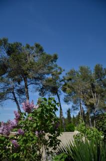 Mas du Puech Cymbale - 6