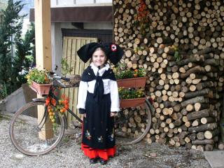 Gîte La Charmaie - Husseren-Wesserling - 2