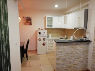 Shumice Apartment - Belgrado - 2