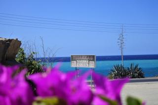 Kissonerga beach apartment - 3
