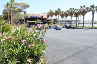 Kissonerga beach apartment - Paphos - 5