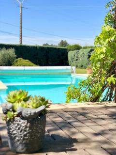 Le clos des vergers - LʼIsle-sur-la-Sorgue - 1