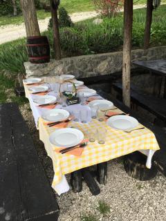 Agroturizam Toni - Motovun - 5