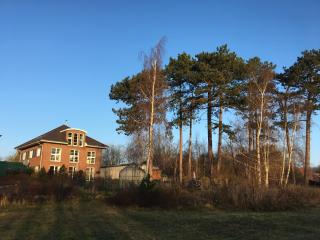 Ferienzimmer Suhrer Seeblick - Plön - 1