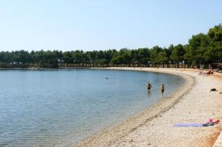 Apartments with a parking space Novigrad - 15227 - Novigrad - 7