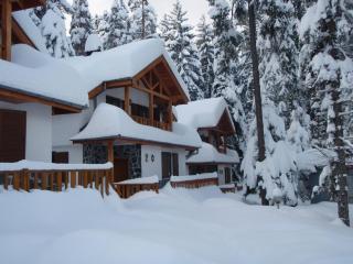Saint George Holiday Village - Borovets - 4