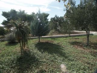 Apartments by the sea Brodarica, Sibenik - 479 - 9