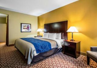Quality Inn Plant City - Lakeland - Plant City - 8