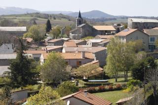Maison d'Hôte la Grange aux Ayres - Olloix - 4