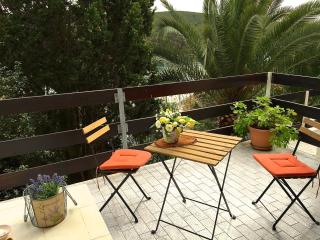 Apartment Lavanda - Molat - 7