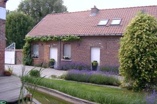 B&B De Pepelinck - Denderwindeke - 8